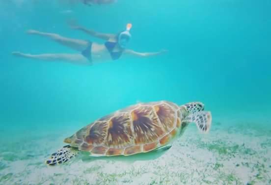 Acuario Beach Inn San Vicente  Esterno foto